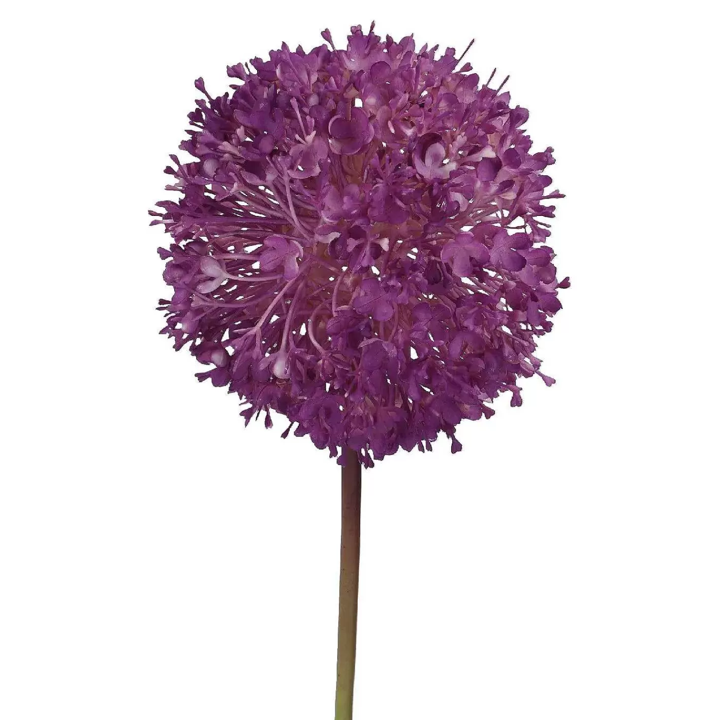 Nanu-Nana Barlauch Pompom, Lila, 66 Cm< Kunstblumen