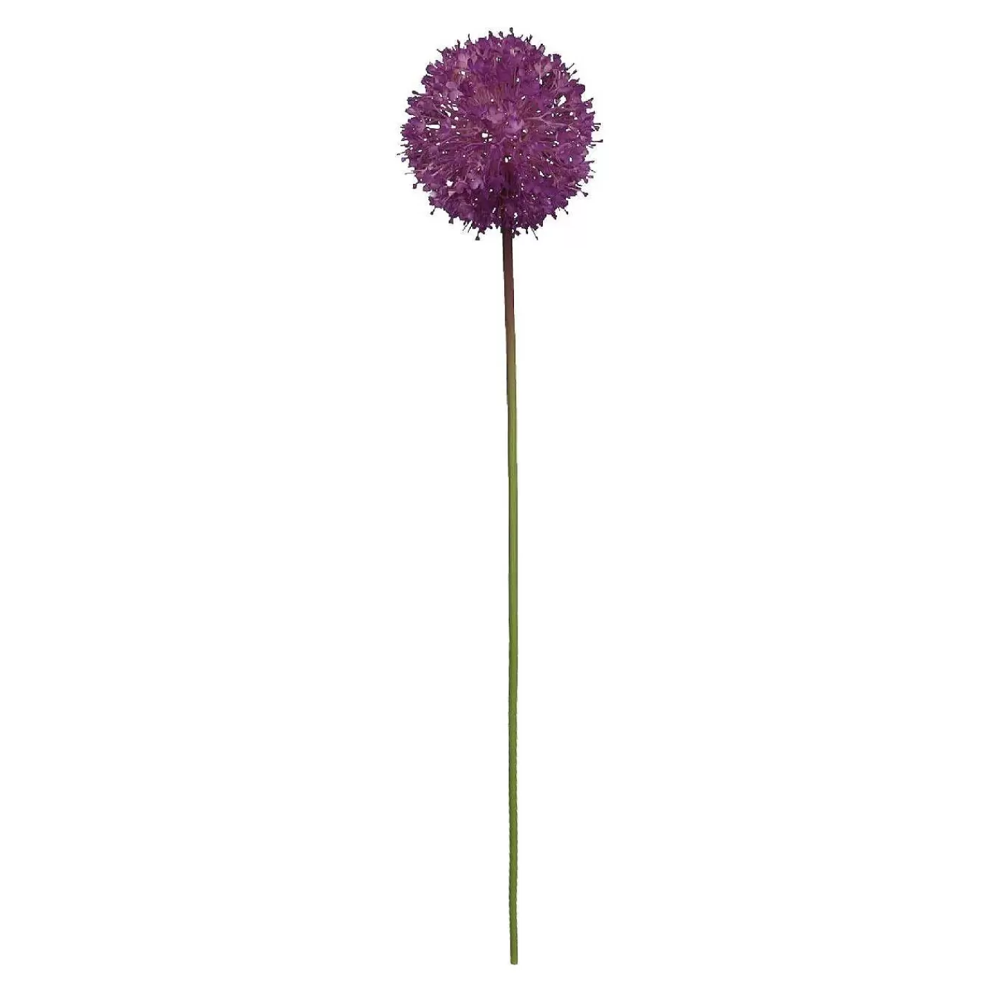 Nanu-Nana Barlauch Pompom, Lila, 66 Cm< Kunstblumen