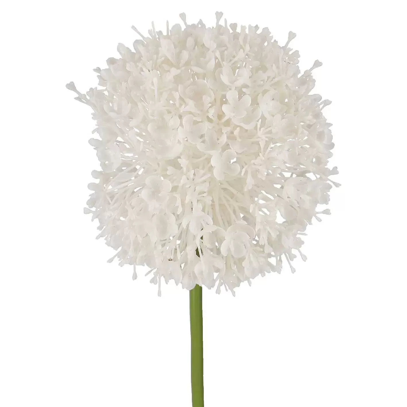 Nanu-Nana Barlauch Pompom, Weis, 66 Cm< Kunstblumen