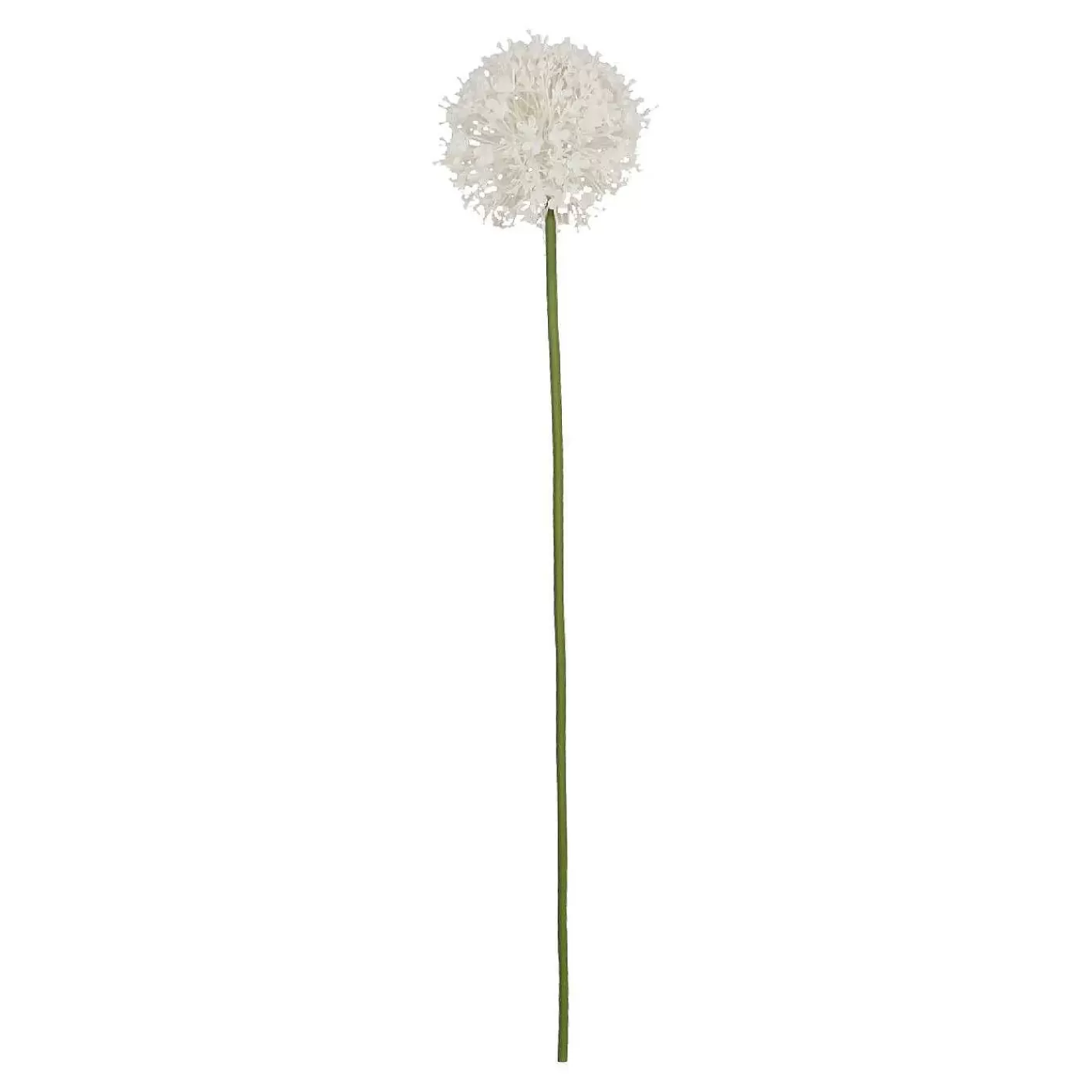 Nanu-Nana Barlauch Pompom, Weis, 66 Cm< Kunstblumen