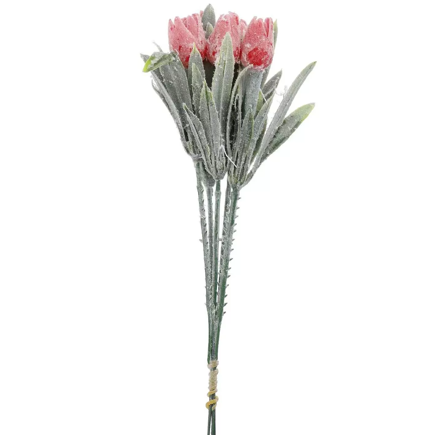 Nanu-Nana Deko-Stecker Tulpen, Rot, 18 Cm< Fruhling&Kunstblumen