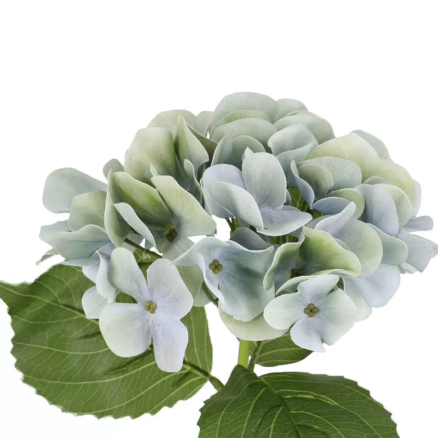 Nanu-Nana Hortensie Sophia, Blau/Grun, 35 Cm< Fruhling&Kunstblumen