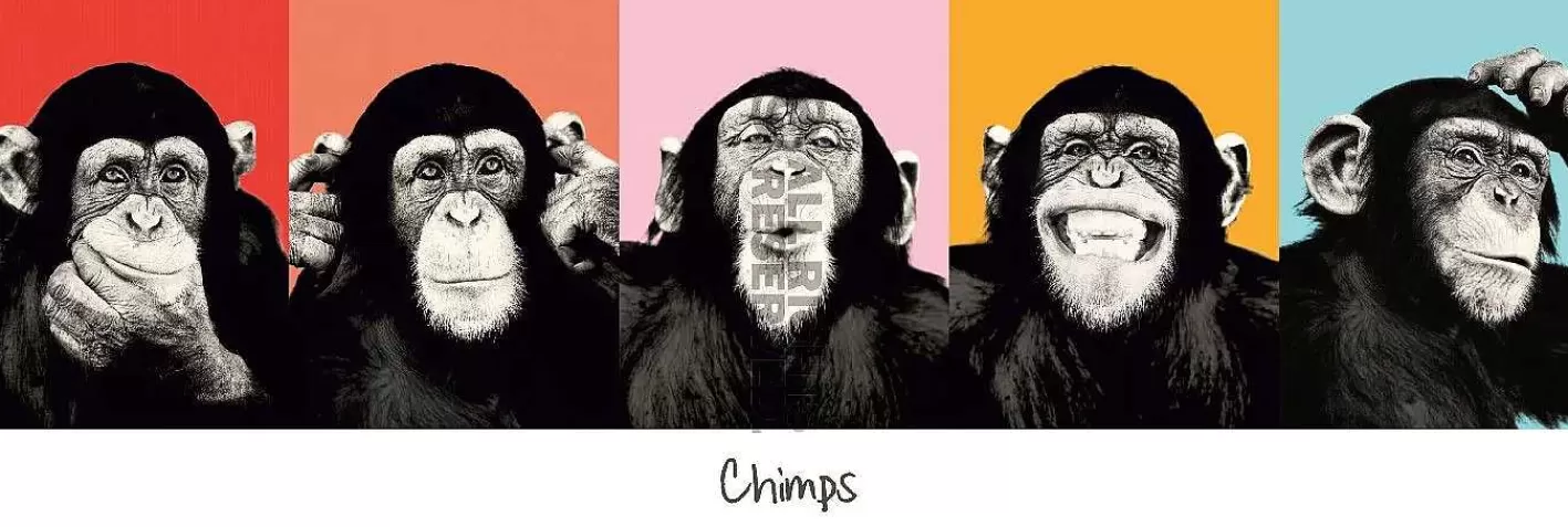 Nanu-Nana Jumboposter The Chimp - Pop, Nr. 36< Wanddeko