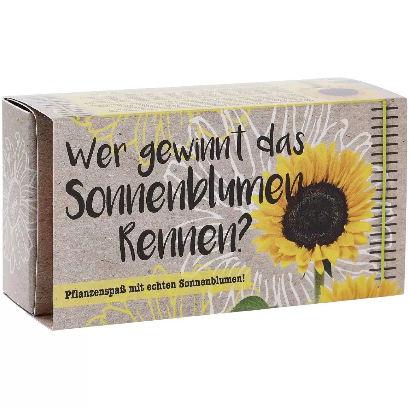 Nanu-Nana Pflanzset Sonnenblumen-Spiel< Blumentopfe