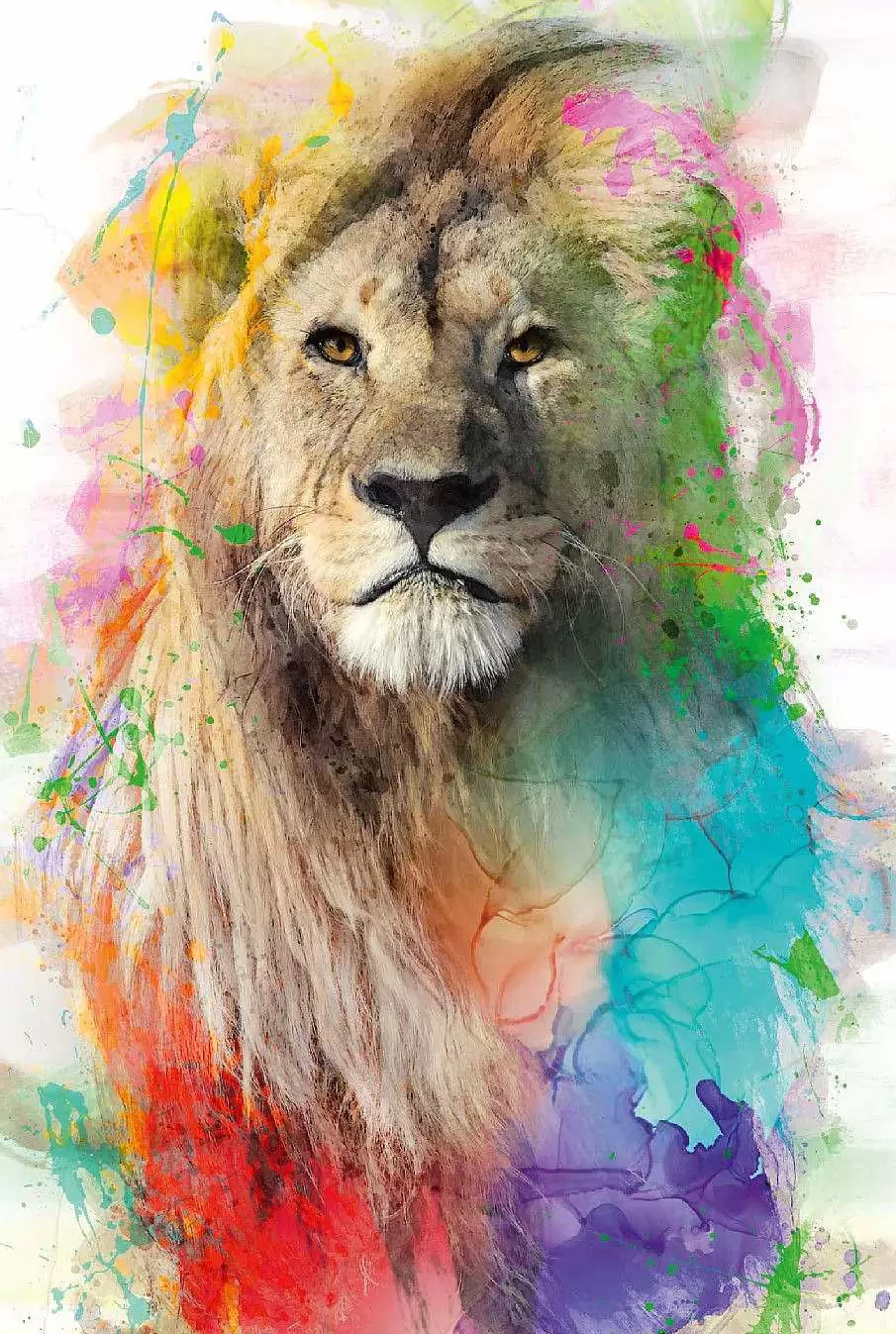 Nanu-Nana Poster Multicolor Lion, Nr. 94< Wanddeko