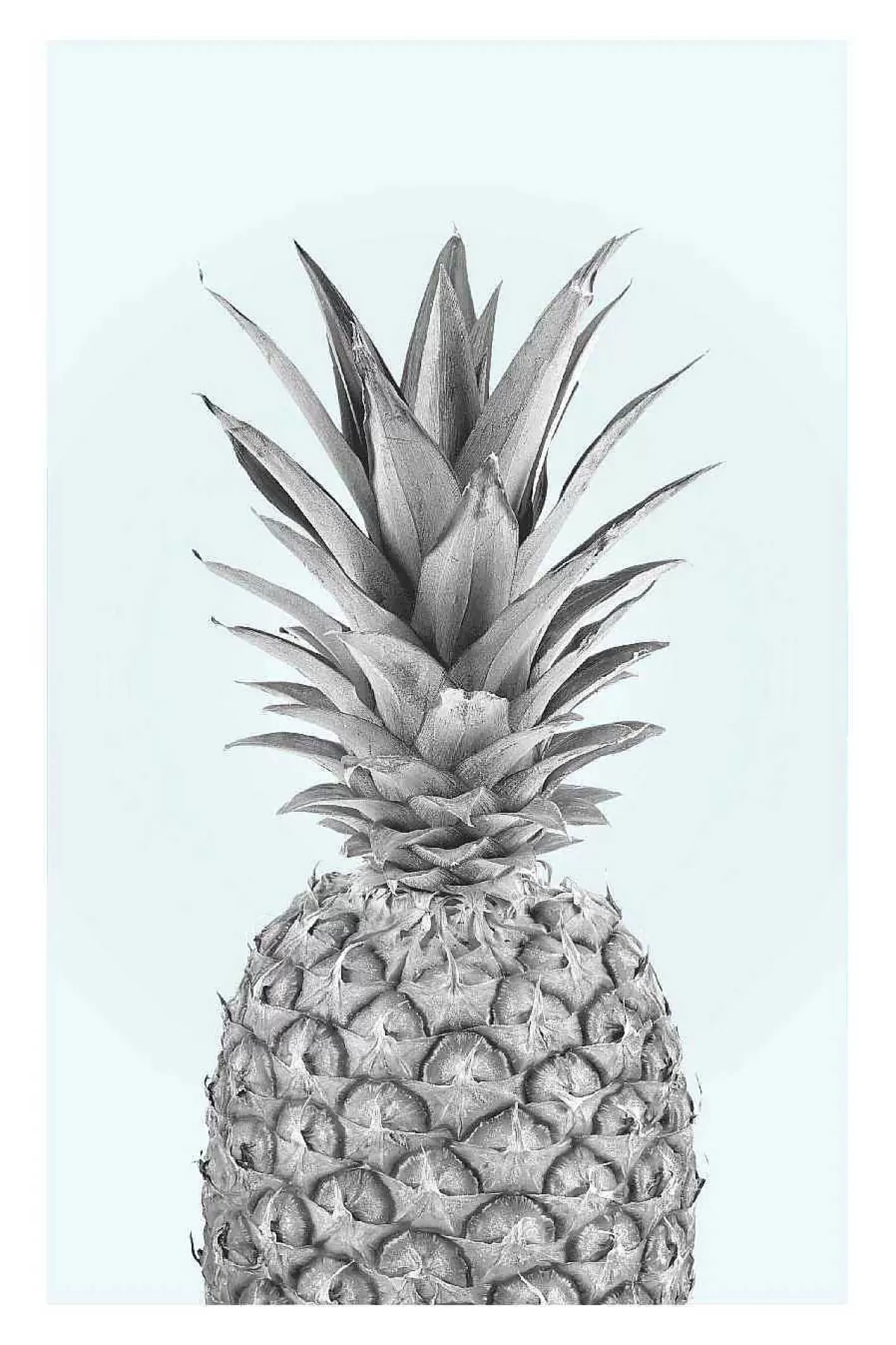 Nanu-Nana Poster Pineapple, Nr. 51< Wanddeko