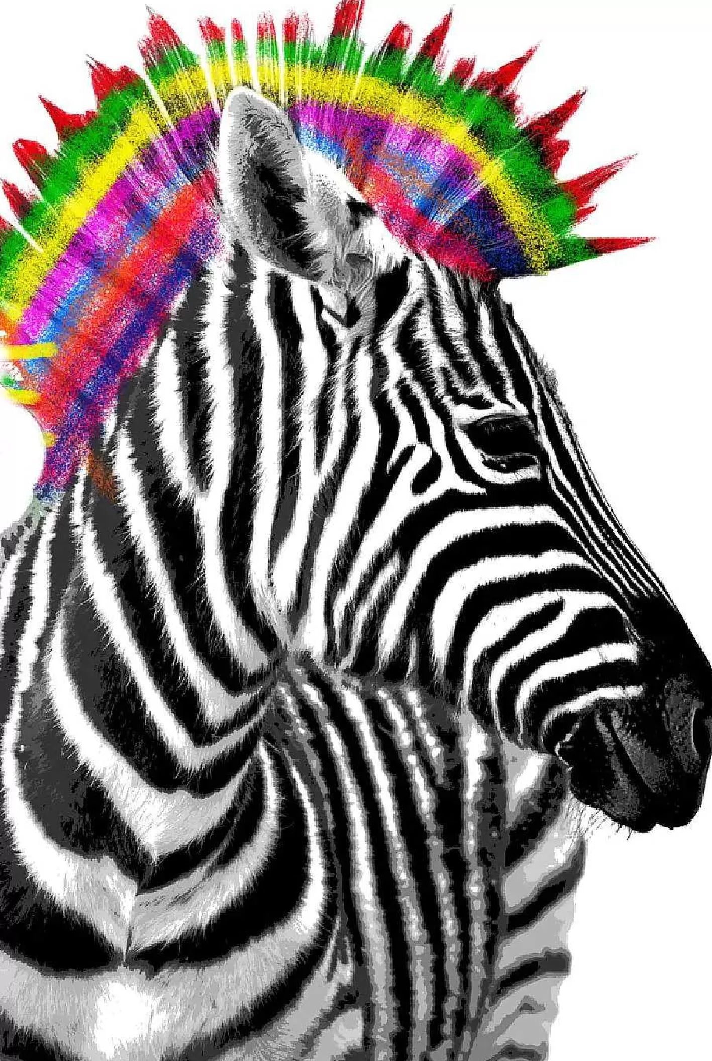 Nanu-Nana Poster Zebra Punk, Nr. 238< Wanddeko